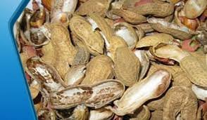 Groundnut Husk